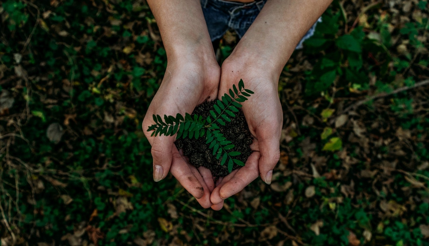 How Community Partnerships Drive Sustainable Growth