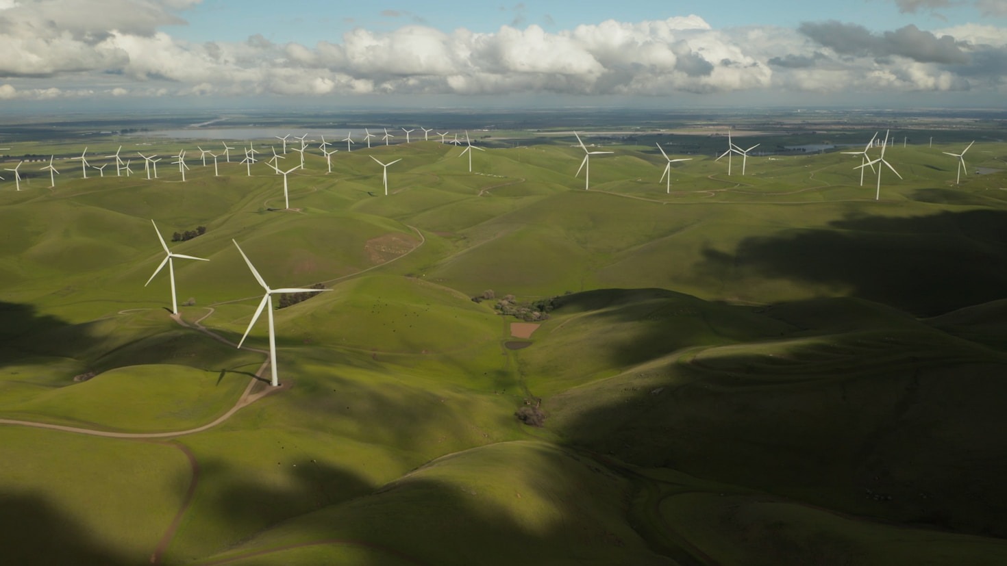 The Role of Corporate Social Responsibility in the Green Economy