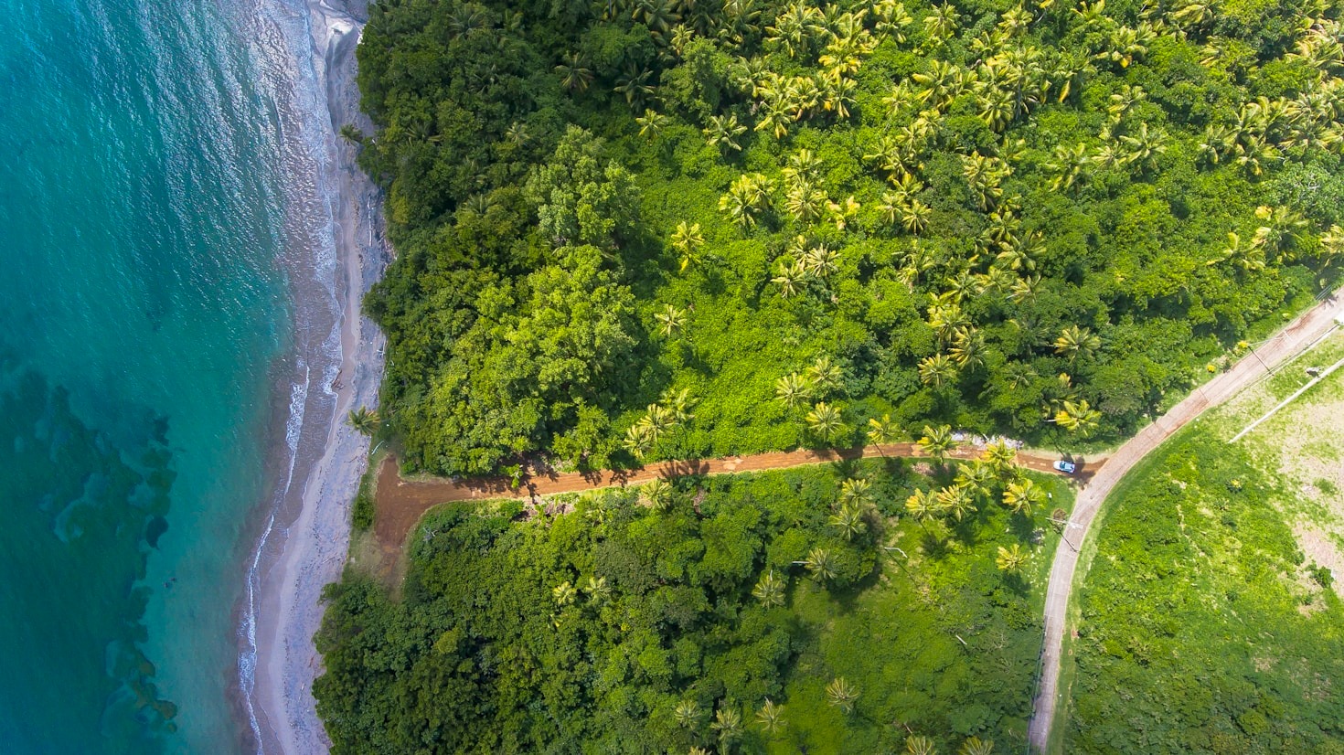 The Future of Fiscal Challenges in a Green Economy